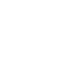 Bonny Llyn